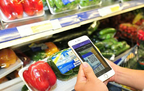 Ngành Y tế Khánh Hòa triển khai thi hành Luật Sửa đổi, bổ sung một số điều của Luật Chất lượng sản phẩm, hàng hóa